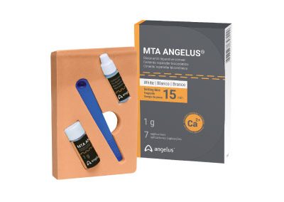 MTA Angelus